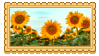 a stamp of a sunflower field